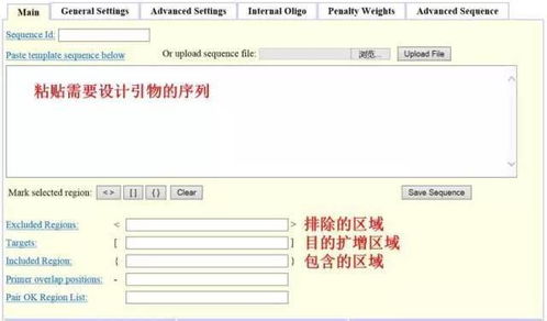設計引物怕踩坑？這3款在線軟件輕松掃雷——淄博軟件設計指南
